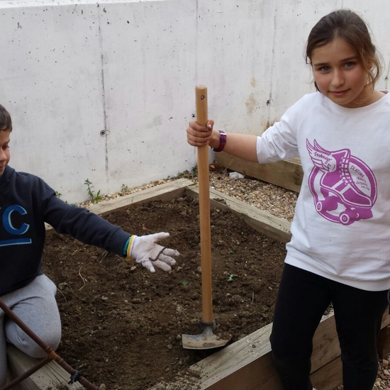 TRABAJANDO EN EL HUERTO 5