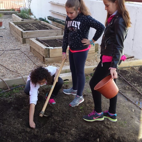 TRABAJANDO EN EL HUERTO 3