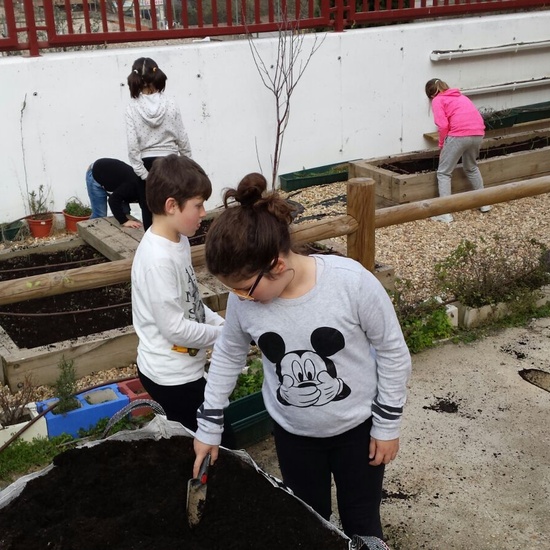 TRABAJANDO EN EL HUERTO 8