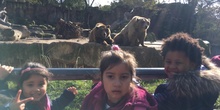 Excursión al zoo 5 años, 1º y 2º Luis Bello 29
