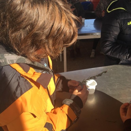 Albergue 6º - 3º día (mañana) 13