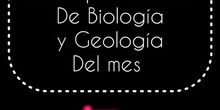 Actividades del mes del Dpto. de Biología y Geología. Marzo-abril 2026