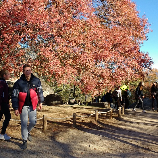 SALIDA EF BOSQUE HERRERIA 7