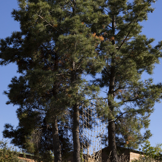 CONVIVENCIAS 6º - 2019 (II) 49