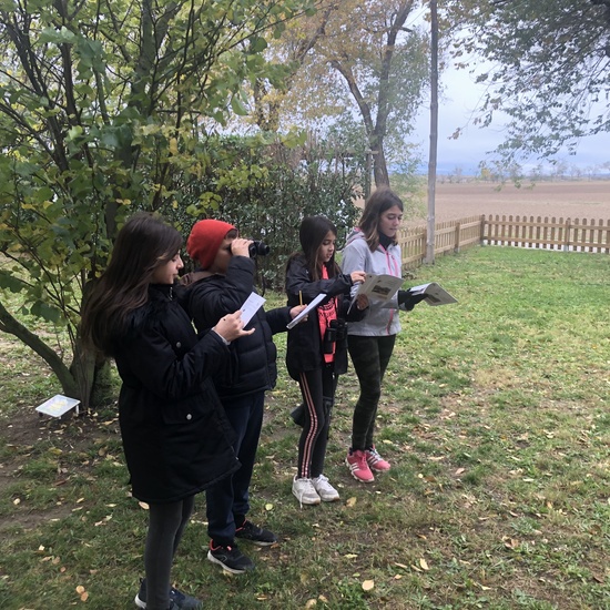 Albergue 6º - 3º día (mañana) 37