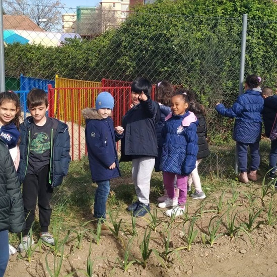 1º de Primaria_Plantamos garbanzo  9