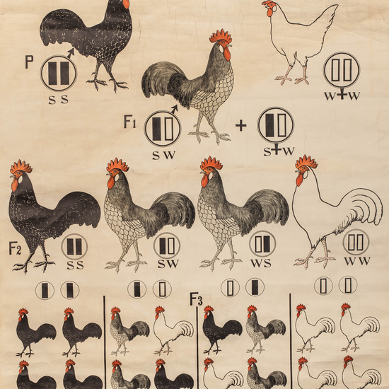 IES_RAMIRODEMAEZTU_BIOLOGIA_013