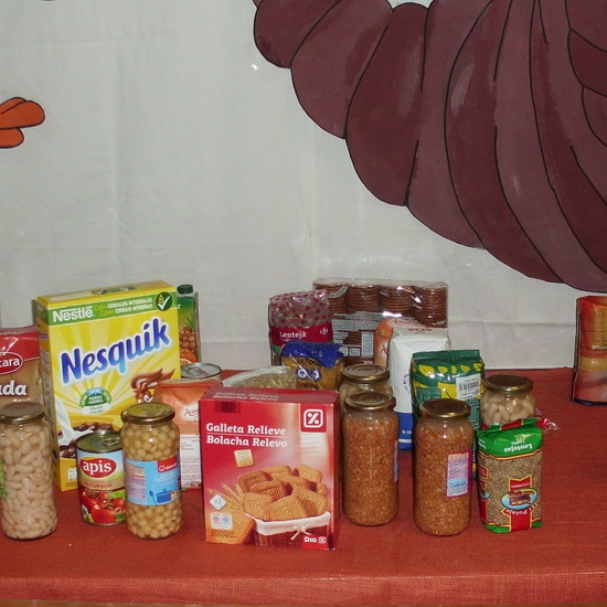 DÍA DE ACCIÓN DE GRACIAS. GRAN RECOGIDA DE ALIMENTOS 7