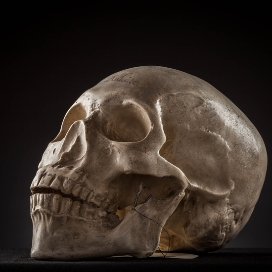 IES_SANISIDRO_MUSEO_Craneos_018