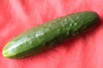 Pepino