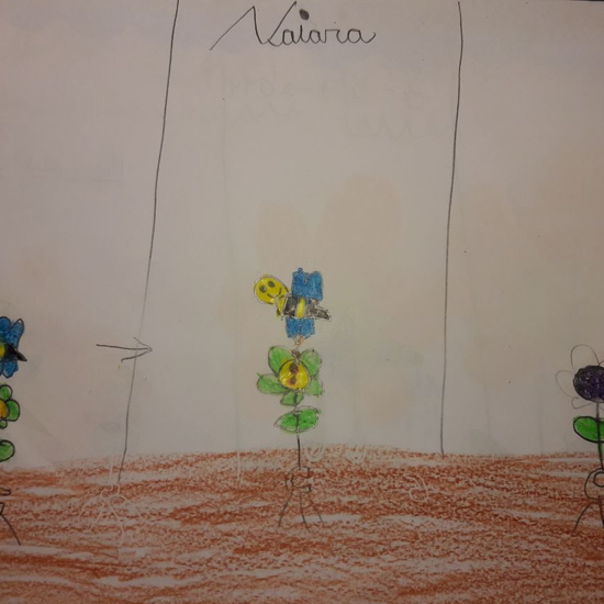 We grow plants in the classroom 8