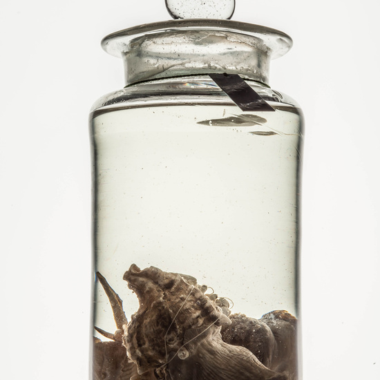 IES_CARDENALCISNEROS_CIENCIASNATURALES_043