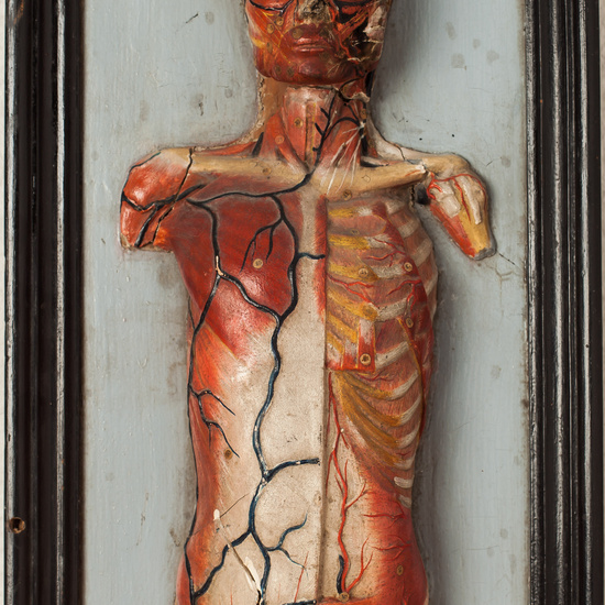 IES_SANISIDRO_BIOLOGIA_341