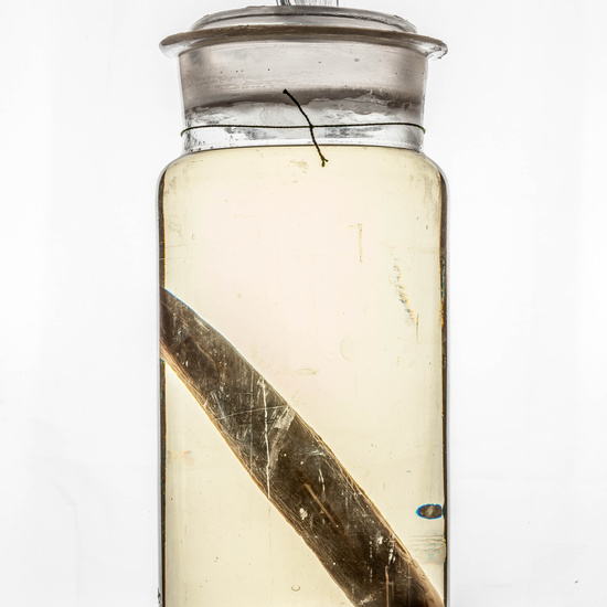 IES_CARDENALCISNEROS_CIENCIASNATURALES_323