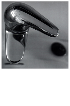 Fotografía artística de un grifo