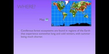 PRIMARIA - 5º - CONIFEROUS FOREST ECOSYSTEM - NATURAL SCIENCE