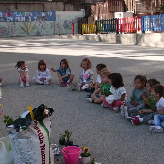 planeta vivo planeta justo 9