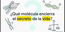 Vídeo resumen "ADN, Biología 2º de Bachillerato"