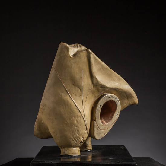 IES_CARDENALCISNEROS_ANATOMIA_MODELOS_037