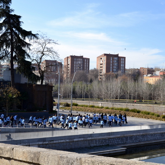 DÍA DE LA PAZ 2018_2 45