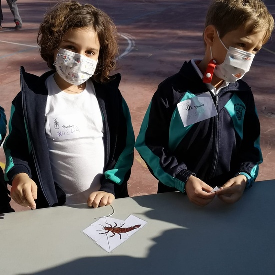 Hotel de insectos 16