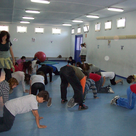 Actividades singulares 5