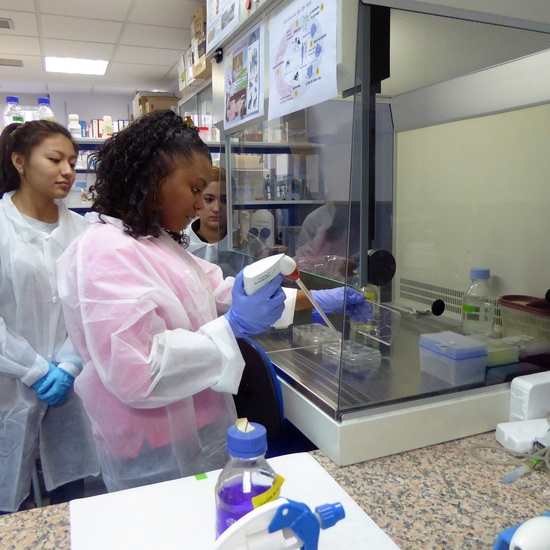 visita facultad veterinaria 2016 4