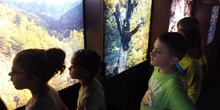 Visita a la exposición El Bosque. 1º 2º Primaria. CEIP Pinocho. 2016/17 12