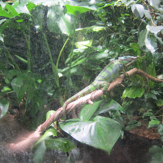 Granja Escuela Educación Infantil Curso 2017-18 8