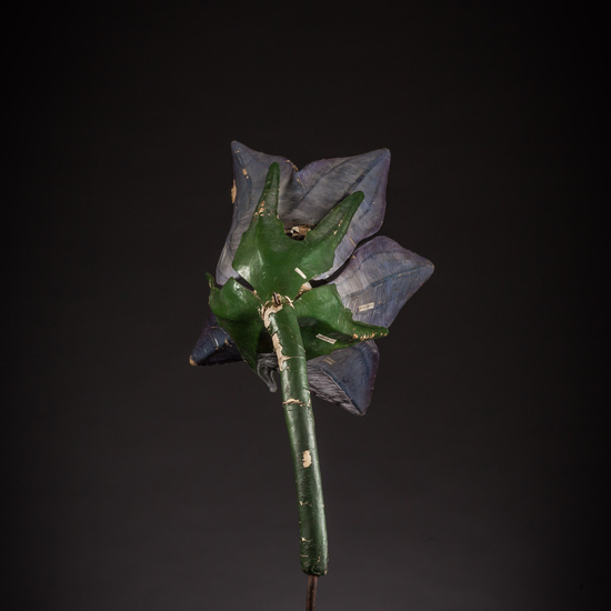 IES_ISABELLACATOLICA_BIOLOGIA_090