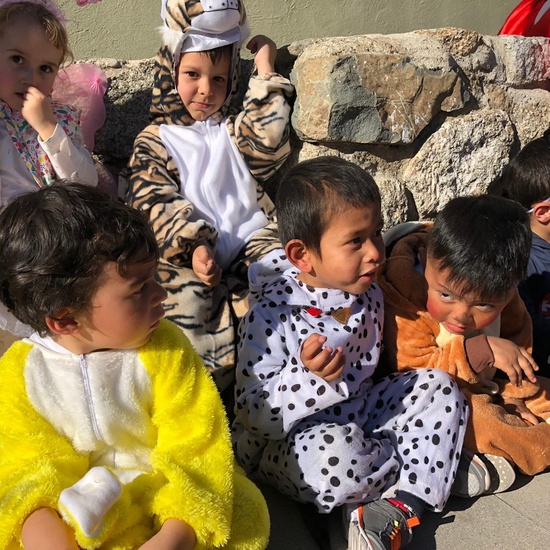 El Carnaval de los Ecosistemas 3