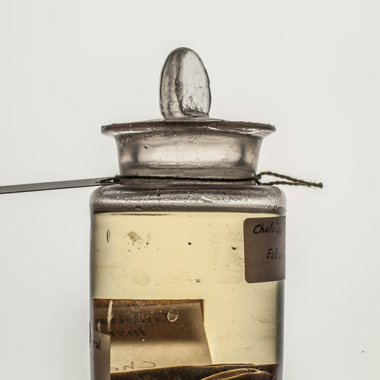 IES_CARDENALCISNEROS_CIENCIASNATURALES_239