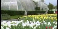 A Green Planet: The Royal Botanic Gardens at Kew: UNESCO Culture Sector