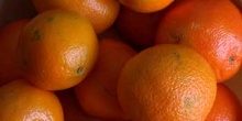 Naranjas