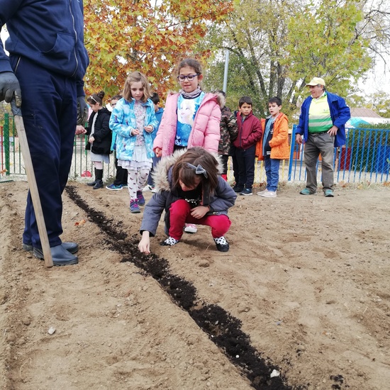 Huerto escolar 2019/20 43