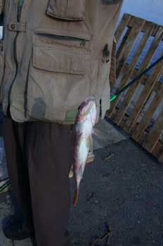 Captura de un pescador