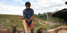 Cortando leña, Batak, Sumatra, Indonesia