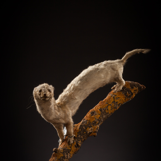 IES_CERVANTES_BIOLOGIA_035