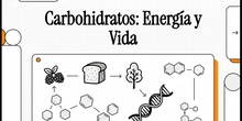 Vídeo resumen "Glúcidos", Biología 2º Bachillerato