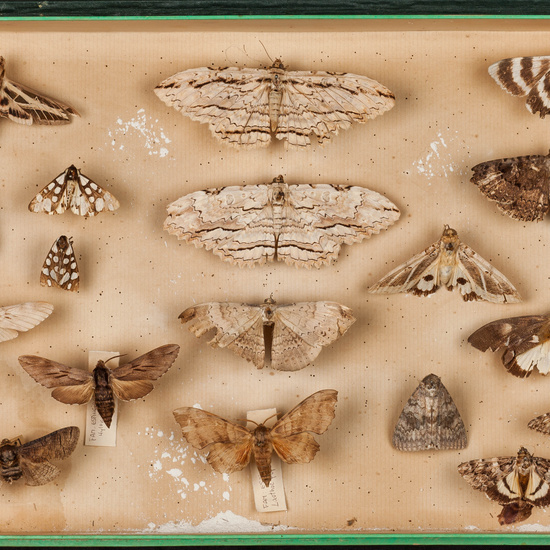 IES_SANISIDRO_MUSEO_018