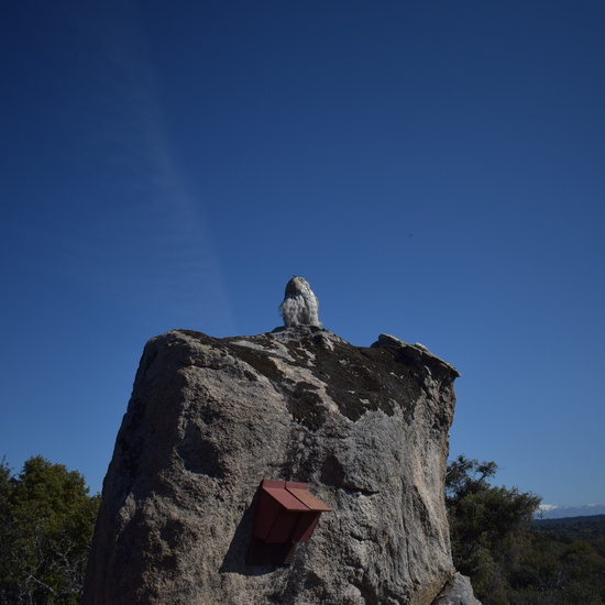 Sendero Vivo 3º Primaria 2018 20