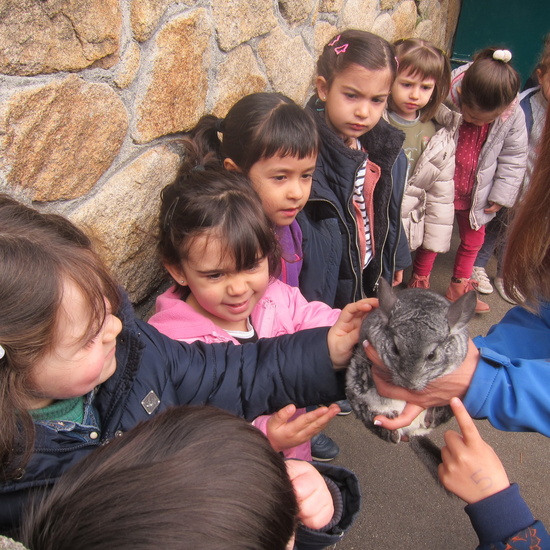 Granja Escuela Educación Infantil Curso 2017-18 37