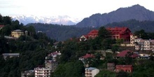 Shimla con el Himalaya al fondo
