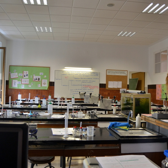 Proyecto de Aprendizaje y Servicio  18