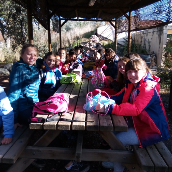 VISITA A GREFA. 5º CURSO 6