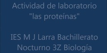 PROTEÍNAS ies m j larra  bach nocturno