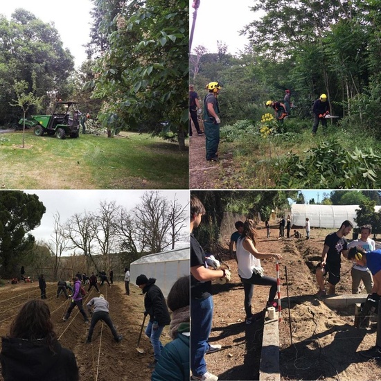 Carrusel fotos web 2