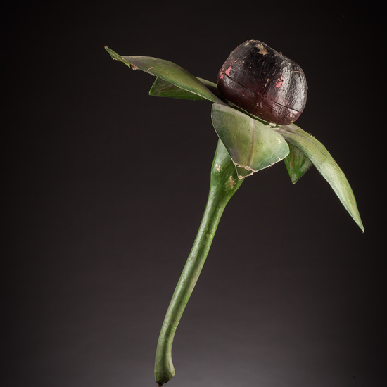 IES_ISABELLACATOLICA_BIOLOGIA_031