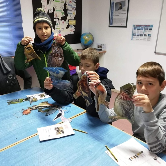 Albergue 5º- 3º día (mañana) 16