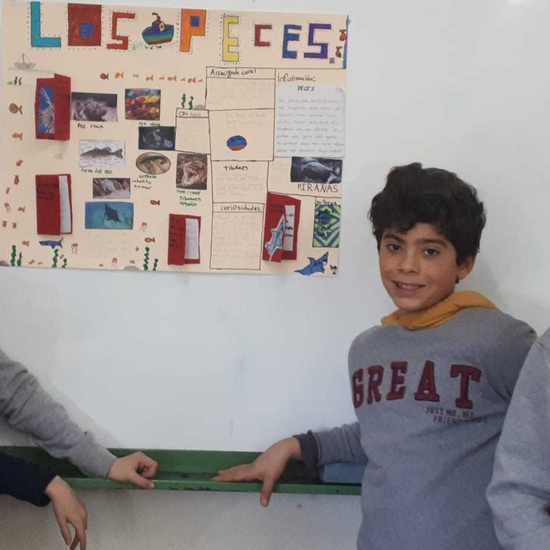 2020_02_13_4º proyecto animales vertebrados_CEIP FDLR_Las Rozas 11